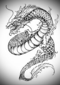 Фото дракон тату эскиз 13.09.2019 №012 - dragon tattoo sketch - tattoo-photo.ru