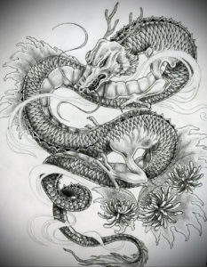 Фото дракон тату эскиз 13.09.2019 №023 - dragon tattoo sketch - tattoo-photo.ru