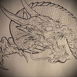 Фото дракон тату эскиз 13.09.2019 №029 - dragon tattoo sketch - tattoo-photo.ru