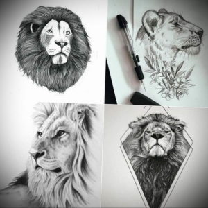 Фото лев тату эскиз 13.09.2019 №006 - lion tattoo sketch - tattoo-photo.ru