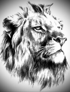 Фото лев тату эскиз 13.09.2019 №014 - lion tattoo sketch - tattoo-photo.ru