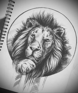 Фото лев тату эскиз 13.09.2019 №015 - lion tattoo sketch - tattoo-photo.ru