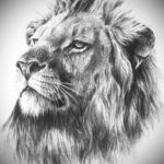 Фото лев тату эскиз 13.09.2019 №016 - lion tattoo sketch - tattoo-photo.ru