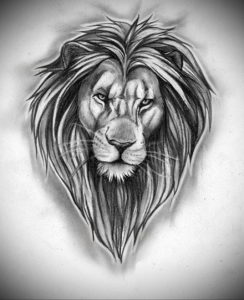 Фото лев тату эскиз 13.09.2019 №018 - lion tattoo sketch - tattoo-photo.ru