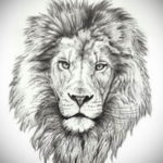 Фото лев тату эскиз 13.09.2019 №026 - lion tattoo sketch - tattoo-photo.ru