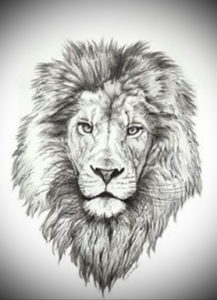 Фото лев тату эскиз 13.09.2019 №026 - lion tattoo sketch - tattoo-photo.ru