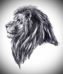 Фото лев тату эскиз 13.09.2019 №030 - lion tattoo sketch - tattoo-photo.ru