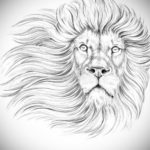 Фото лев тату эскиз 13.09.2019 №035 - lion tattoo sketch - tattoo-photo.ru