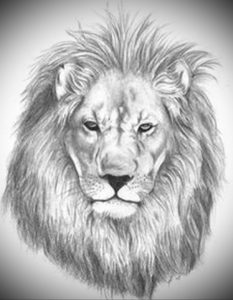 Фото лев тату эскиз 13.09.2019 №040 - lion tattoo sketch - tattoo-photo.ru