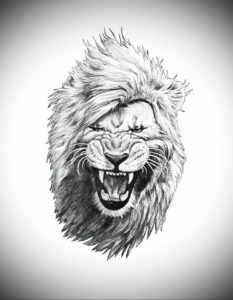 Фото лев тату эскиз 13.09.2019 №044 - lion tattoo sketch - tattoo-photo.ru