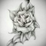 Фото роза тату эскиз 13.09.2019 №009 - rose tattoo sketch - tattoo-photo.ru