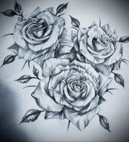 Фото роза тату эскиз 13.09.2019 №012 — rose tattoo sketch — tattoo-photo.ru
