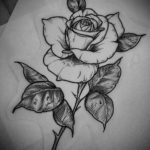 Фото роза тату эскиз 13.09.2019 №024 - rose tattoo sketch - tattoo-photo.ru