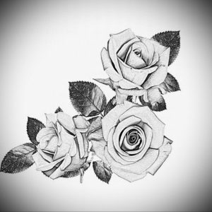 Фото роза тату эскиз 13.09.2019 №036 - rose tattoo sketch - tattoo-photo.ru