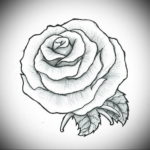 Фото роза тату эскиз 13.09.2019 №039 - rose tattoo sketch - tattoo-photo.ru