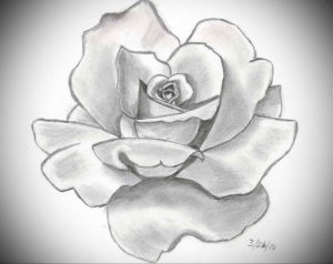 Фото эскизы тату цветы 13.09.2019 №008 - flower sketch designs - tattoo-photo.ru