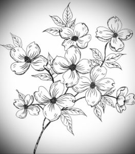 Фото эскизы тату цветы 13.09.2019 №011 - flower sketch designs - tattoo-photo.ru