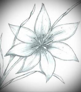 Фото эскизы тату цветы 13.09.2019 №017 - flower sketch designs - tattoo-photo.ru