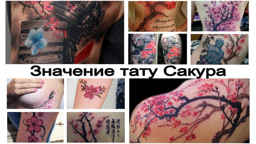 Значение тату Сакура - все про особенности рисунка и коллекция фото примеров готовых тату