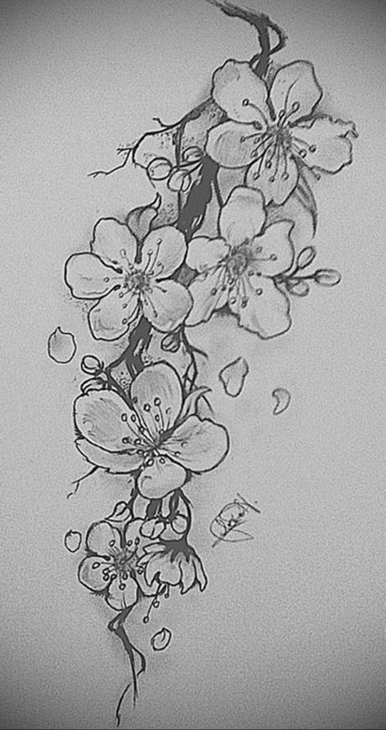 Фото вариант эскиза для тату сакура 09.02.2020 №004 -sakura tattoo-tattoo-photo.ru - tattoo-photo.ru