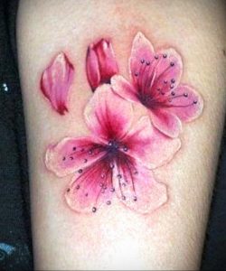 Фото тату цветок закуры 09.02.2020 №012 -sakura tattoo- tattoo-photo.ru