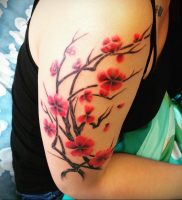 Фото тату цветок закуры 09.02.2020 №067 -sakura tattoo- tattoo-photo.ru