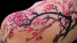 Фото вариант тату с деревом сакуры 09.02.2020 №013 -sakura tattoo- tattoo-photo.ru