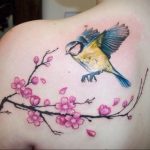 Фото вариант тату сакура для девушки 09.02.2020 №016 -sakura tattoo- tattoo-photo.ru