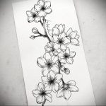 Фото вариант эскиза для тату сакура 09.02.2020 №031 -sakura tattoo- tattoo-photo.ru