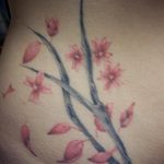 Фото тату сакура на животе 09.02.2020 №007 -sakura tattoo- tattoo-photo.ru