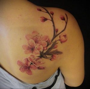 Фото тату сакура на плече 09.02.2020 №015 -sakura tattoo- tattoo-photo.ru