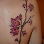 Фото тату сакура на плече 09.02.2020 №018 -sakura tattoo- tattoo-photo.ru