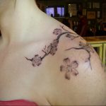 Фото тату сакура на плече 09.02.2020 №019 -sakura tattoo- tattoo-photo.ru