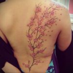 Фото тату цветок закуры 09.02.2020 №007 -sakura tattoo- tattoo-photo.ru