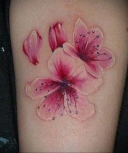 Фото тату цветок закуры 09.02.2020 №009 -sakura tattoo- tattoo-photo.ru
