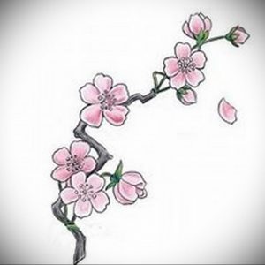 Фото тату цветок закуры 09.02.2020 №020 -sakura tattoo- tattoo-photo.ru