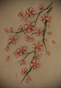 Фото тату цветок закуры 09.02.2020 №069 -sakura tattoo- tattoo-photo.ru
