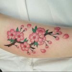 Фото тату цветок закуры 09.02.2020 №074 -sakura tattoo- tattoo-photo.ru