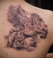 Фото татуировки на лопатке 09.03.2020 №015 -tattoo on the shoulder- tattoo-photo.ru