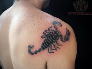 Фото тату на лопатке Скорпион 09.03.2020 №013 -tattoo on the shoulder- tattoo-photo.ru