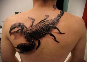 Фото тату на лопатке Скорпион 09.03.2020 №017 -tattoo on the shoulder- tattoo-photo.ru