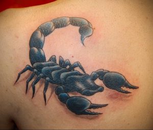 Фото тату на лопатке Скорпион 09.03.2020 №027 -tattoo on the shoulder- tattoo-photo.ru