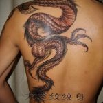 Фото тату на лопатке дракон 09.03.2020 №012 -tattoo on the shoulder- tattoo-photo.ru