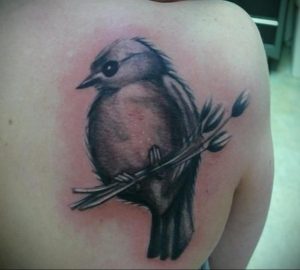 Фото тату с птицей на лопатке 09.03.2020 №002 -tattoo on the shoulder- tattoo-photo.ru