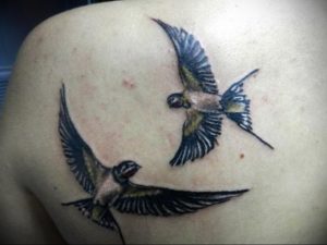 Фото тату с птицей на лопатке 09.03.2020 №008 -tattoo on the shoulder- tattoo-photo.ru