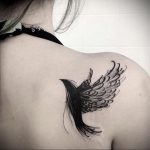 Фото тату с птицей на лопатке 09.03.2020 №023 -tattoo on the shoulder- tattoo-photo.ru