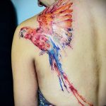 Фото тату с птицей на лопатке 09.03.2020 №025 -tattoo on the shoulder- tattoo-photo.ru