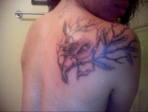 Фото тату с птицей на лопатке 09.03.2020 №029 -tattoo on the shoulder- tattoo-photo.ru