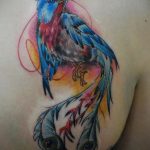 Фото тату с птицей на лопатке 09.03.2020 №033 -tattoo on the shoulder- tattoo-photo.ru