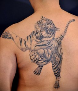 Фото тату с тигром на лопатке 09.03.2020 №002 -tattoo on the shoulder- tattoo-photo.ru